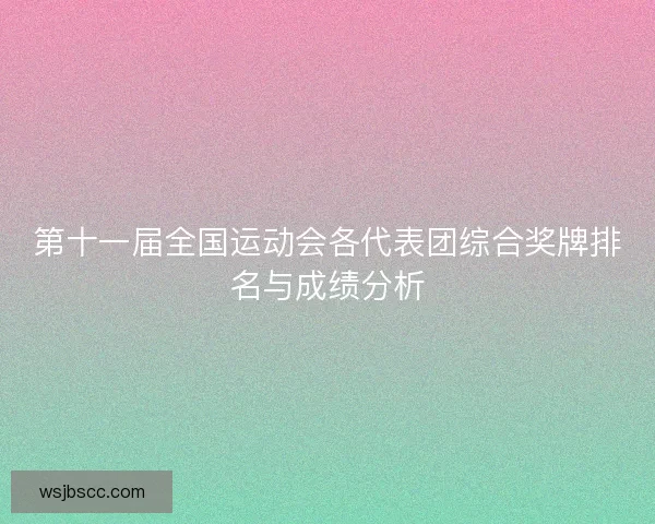 第十一届全国运动会各代表团综合奖牌排名与成绩分析