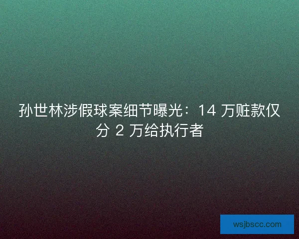 孙世林涉假球案细节曝光：14 万赃款仅分 2 万给执行者