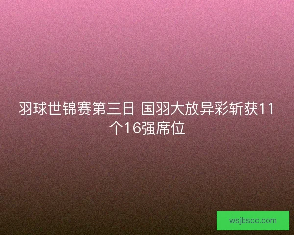 羽球世锦赛第三日 国羽大放异彩斩获11个16强席位